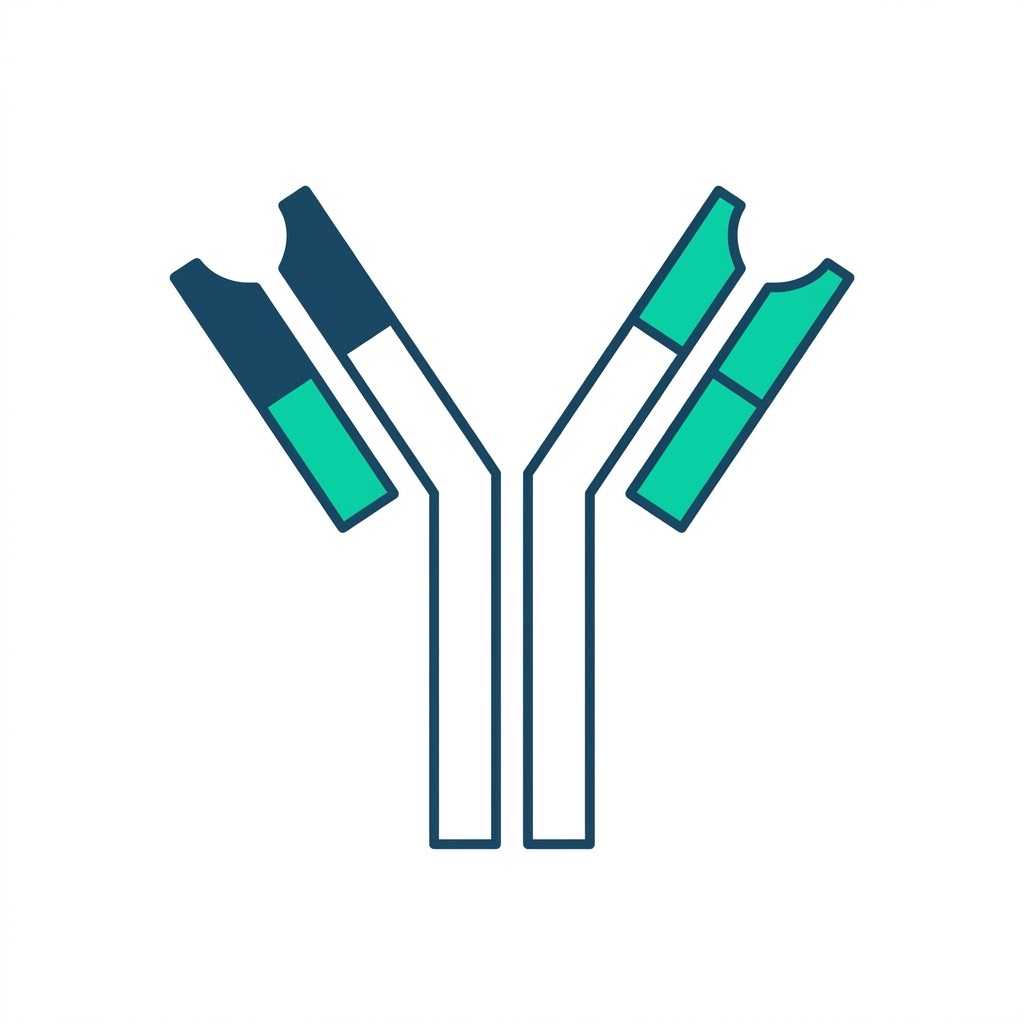Bispecific Antibody Icon